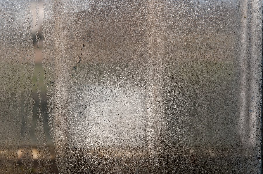 foggy window