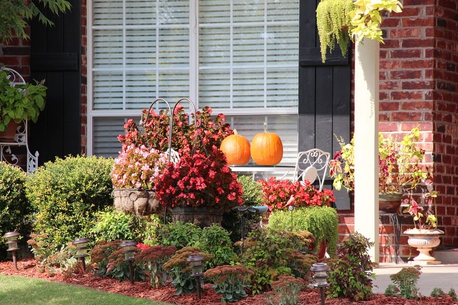 Beautiful Fall Window Decor