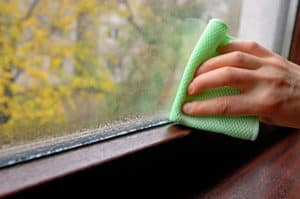 How to Protect Your Windows During Frequent Summer Storms