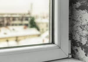 Our Answers to the Most Common FAQs about Windows