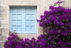 What to Consider When Choosing Window Placement