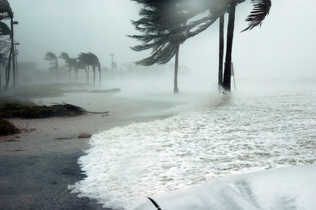 hurricane window protection in Jacksonville