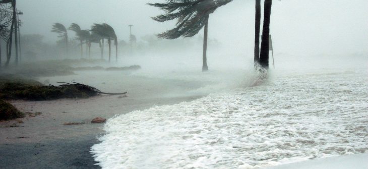 hurricane window protection in Jacksonville