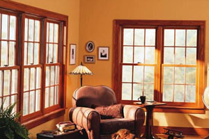 Andersen Fibrex & Wood-Clad Window