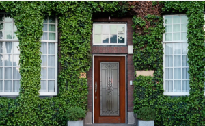 ODL Glass